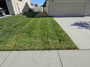 Alex J.'s Yard Cutting service result