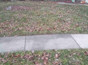 Cleanups by Elisha Nelson for Erin R. in Columbus, OH