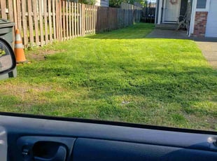 Jeannie D.'s Lawn Mowing service result