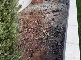 Landscaping by Adrian Gonzalez for Diane M. in Los Angeles, CA