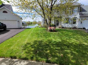 Cheyenne C.'s Lawn Service service result