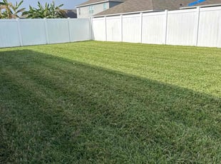 Maria H.'s Lawn Mowing service result