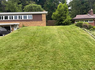 Anthony L.'s Lawn Maintenance service result