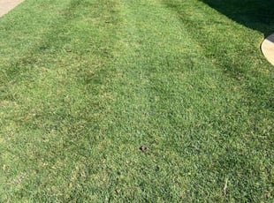 James M.'s Lawn Care service result
