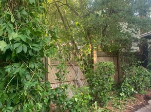 Bush Trimming by Naturallyp Bonsell jr for Cydney J. in Jacksonville, FL