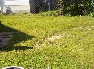Nyahiri D.'s Lawn Mowing service result