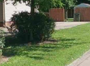 Cullen T.'s Lawn Mowing Service service result