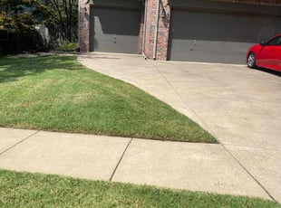 Zafar T.'s Lawn Mowing Service service result