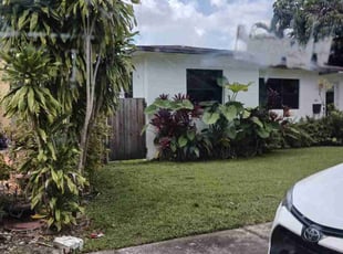 Tim H.'s Grass Cutting service result