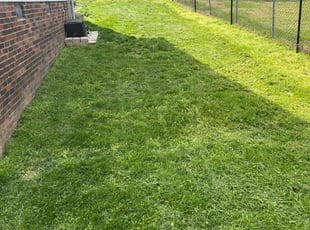 Teresa W.'s Grass Cutting service result