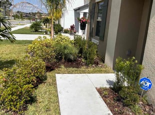 Bush Trimming by Corey Johnson for Drusilla W. in Riverview, FL
