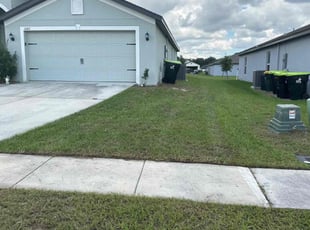 Carleen T.'s Lawn Mowing Service service result