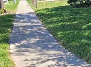 Mark T.'s Lawn Care service result