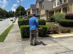 Bush Trimming by Latonya Talley for David D. in Mableton, GA