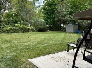 Sura A.'s Yard Cutting service result