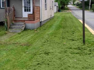 Gerald J.'s Lawn Mowing service result