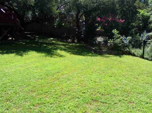 Connor W.'s Lawn Mowing service result