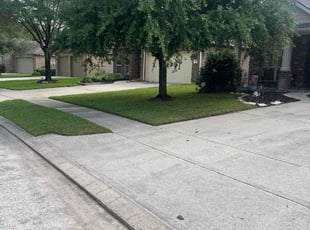 Sheila G.'s Lawn Service service result