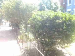 Cleanups by Chris Stewart for Jacob M. in Washington, DC