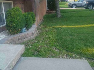 Weeding by Cody Dixon for Jared S. in Leavenworth, KS