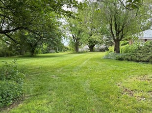 Juan M.'s Lawn Mowing service result