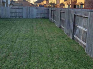 Vaughn B.'s Grass Cutting service result