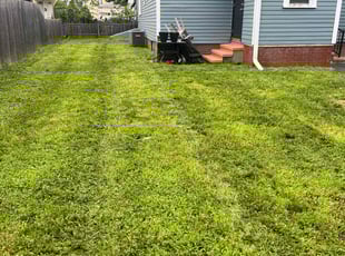 Andre b.'s Lawn Service service result