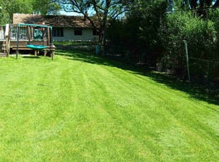 osman K.'s Lawn Care service result