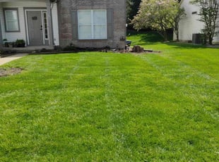 Kaylin M.'s Lawn Maintenance service result