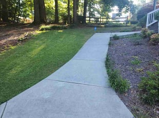Lori D.'s Lawn Mowing service result