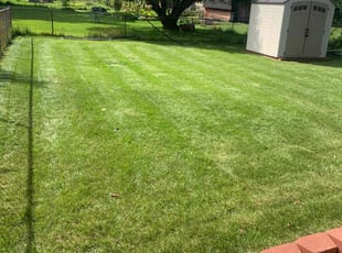 Meredith W.'s Lawn Service service result