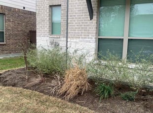 Leaf Removal by Joe Gamache for Koudzo H. in Atascocita, TX