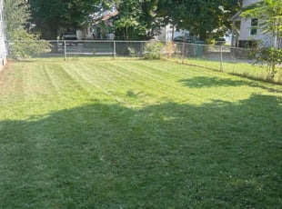 NAKISHA W.'s Lawn Mowing service result