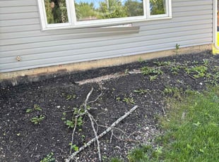 Weeding by Clinton Penny for Angie J. in Bolingbrook, IL