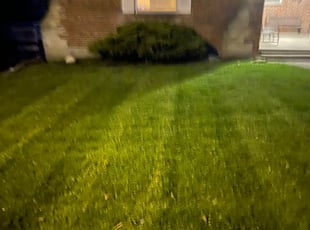 Cleanups by Ted Ostavitz for Nancy T. in Cincinnati, OH