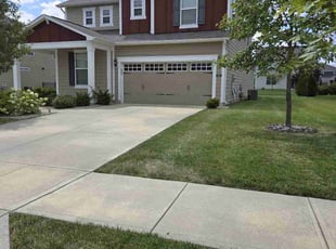 Zanab I.'s Yard Cutting service result