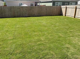 Amanda M.'s Lawn Care service result