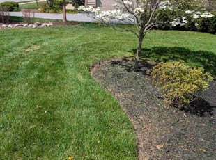 Stephanie R.'s Lawn Maintenance service result