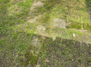 Leaf Removal by Stacey Lewis for Alisha E. in Virginia Beach, VA