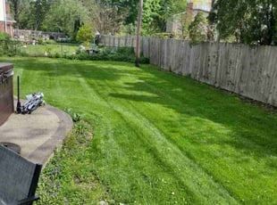 Deoundrea K.'s Lawn Service service result