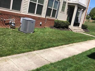 Tamara T.'s Yard Cutting service result
