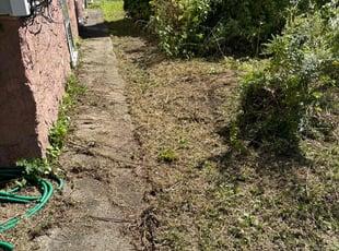 Dennis P.'s Lawn Mowing service result