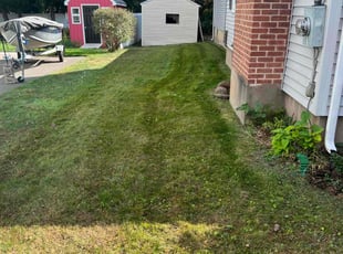Edward C.'s Lawn Maintenance service result