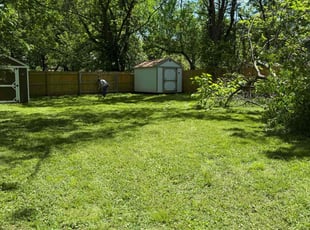 Cleanups by Dominick Baldwin for Shyla A. in Springfield, MO
