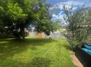 Shanté F.'s Cleanups service result