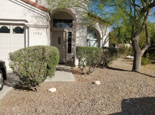 Bush Trimming by Lamont Johnson for Nick O. in Las Vegas, NV