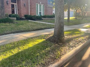 Leaf Removal by Ana Zelaya for Walter T. in Sugar Land, TX