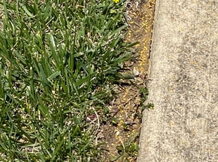 Landscaping by Elder E Larios for Angelo M. in Fort Washington, MD