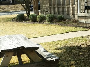Leaf Removal by Marcedes Ginn for Katt A. in Allen, TX