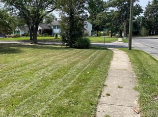 Jacqueline S.'s Lawn Care service result